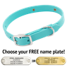 THE little DAWG -- SKY BLUE 3/4 in. Biothane Standard Collar
