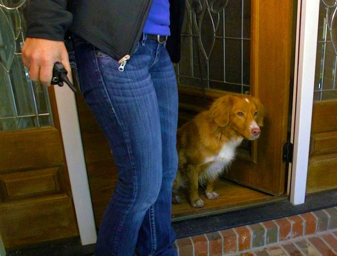 The Top 3 Reasons Your Remote Collar Doesn't Seem to be Working.