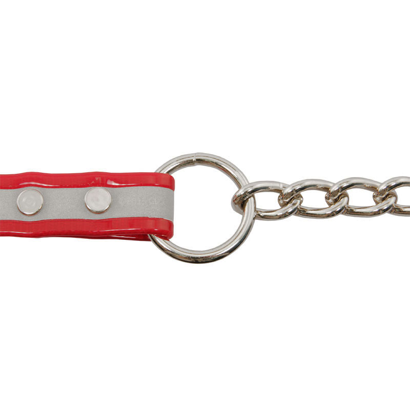 Tree Tie Lead with Chain Lead and Chain Connected to Center Ring Detail