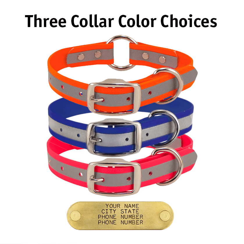 New Dog Starter Kit with BIG DAWG Visibility Biothane Collar Gun Dog