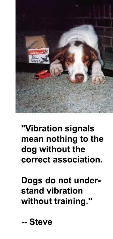 best vibrating collar for deaf dog 7 Vibrators on Amazon Prime That Will Give You a Blended Orgasm