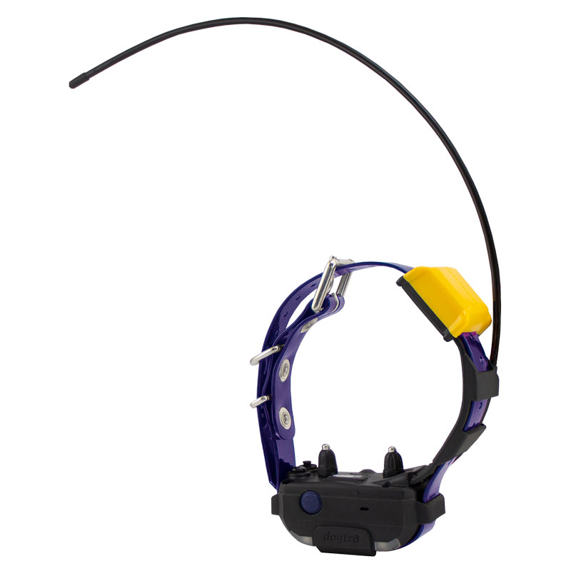 Violet Pathfinder 2 MINI Collar