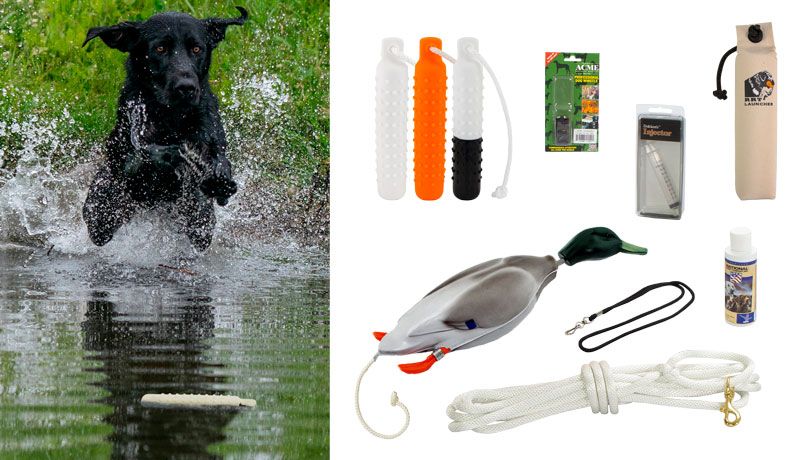 Animal Bird Dog Training Toys Bite Resistant Dog Training Toys For