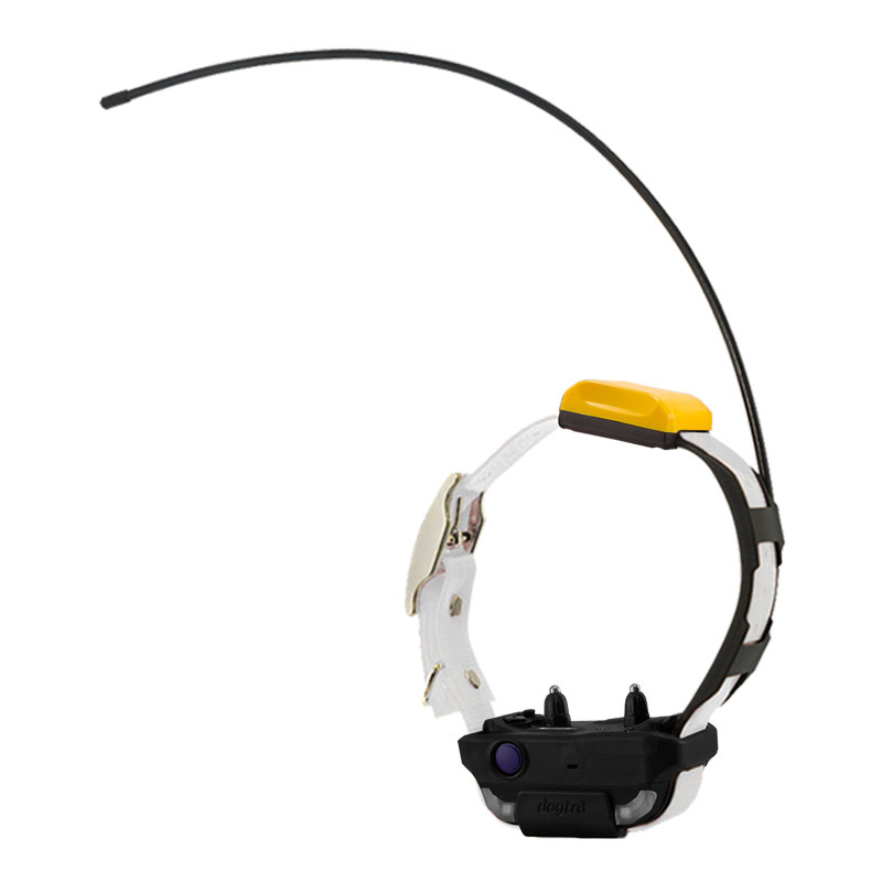 White Dogtra Pathfinder 2 Collar