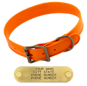 WigWag 1-1/4 in. Large Dog Collar -- Fits 18-23 in. Neck