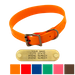WigWag 1 in. Medium Dog Collar -- Fits 14-19 in. Neck