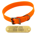 WigWag 1 in. Medium Dog Collar -- Fits 14-19 in. Neck
