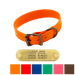 WigWag 1 in. Small Dog Collar -- Fits 12-15 in. Neck 