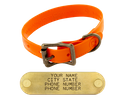 WigWag 3/4 in. Petite Dog Collar -- Fits 9-12 in. Neck