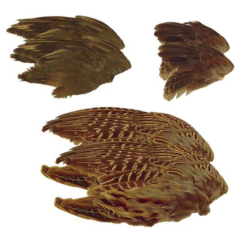 Game Bird Wings Variety Pack. 10.99.