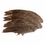 Chukar Wings -- 2 Pack