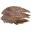 Pheasant Wings -- 2 Pack