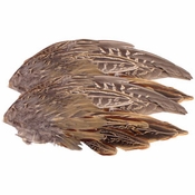 Pheasant Wings -- 2 Pack