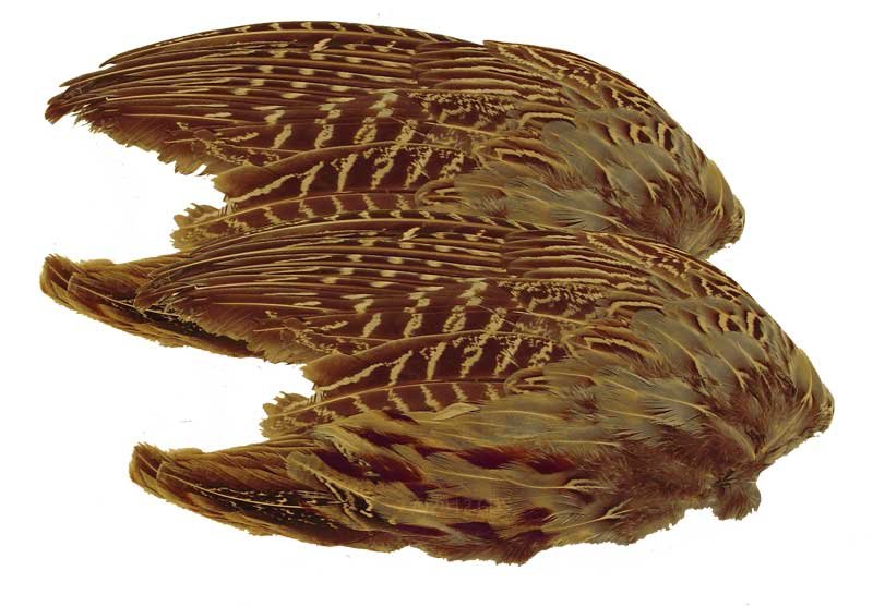 Pheasant Wings 2 Pack. 3.99.