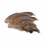 Quail Wings -- 2 Pack