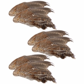 Quail Wings -- 6 Pack