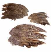 Game Bird Wings for Dog Training (Grouse, Pheasant, Quail)