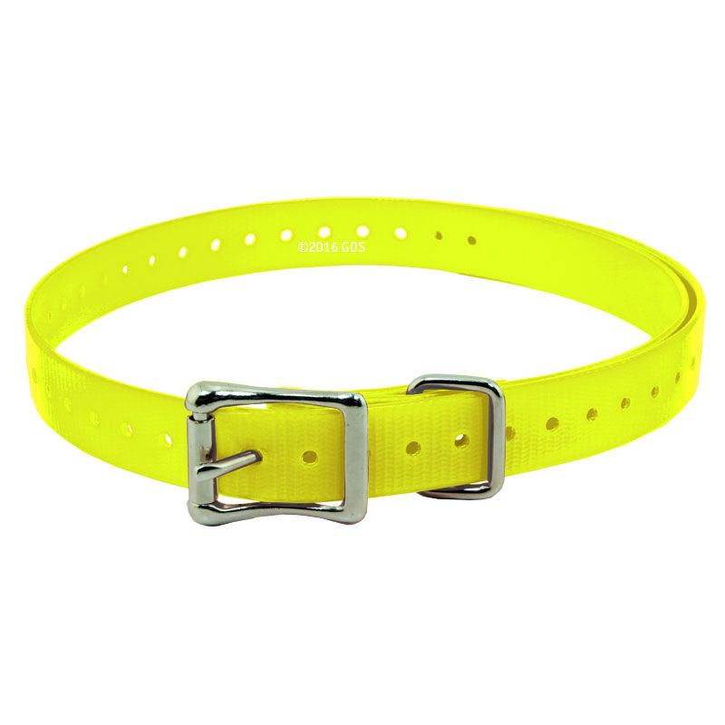 SportDOG 3/4 in. Replacement Straps Gun Dog Supply