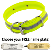  shop YELLOW 1-1/2 in. Beaded Reflective D-End Dog Collar