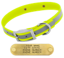 YELLOW 1 in. SunGlo Reflective Standard Collar