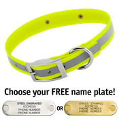  shop YELLOW 1 in. SunGlo Reflective Standard Collar