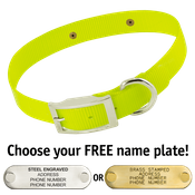  shop YELLOW 1 in. SunGlo Standard Collar