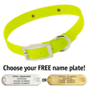 YELLOW 1 in. SunGlo Standard Collar