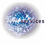 G V S On-Site Services Option