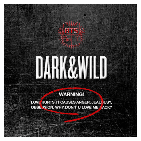 BTS(&#48169;&#53444;&#49548;&#45380;&#45800;) - DARK & WILD