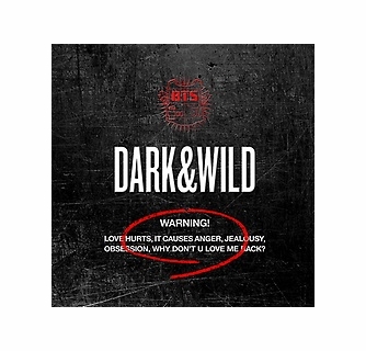 CD] BTS- Dark and Wild (1st album)