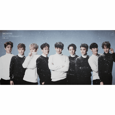 EXO-SING FOR YOU (poster)