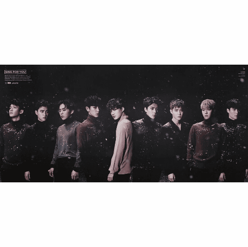 EXO-SING FOR YOU (poster)