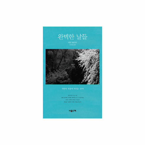 Long Life: Essays and Other Writings