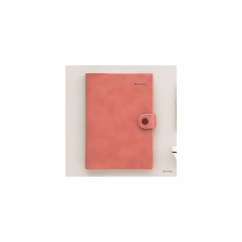 Rainbow Diary 2019