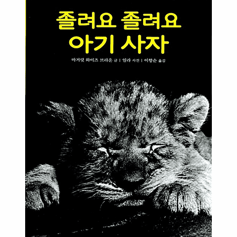 The sleepy little lion