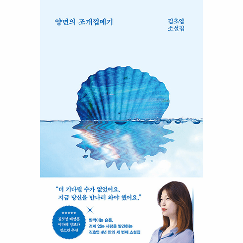 The Two-Sided Seashell