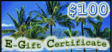 $100.00 E-Gift Certificate 