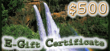 $500.00 E-Gift Certificate