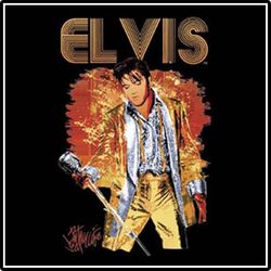 A Golden Moment Licensed Elvis T-Shirt
