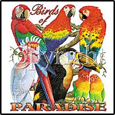 Birds Of Paradise Tropical Tees