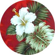 Boxer Short Hibiscus Islands (S,M)