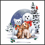 Cool Friends Christmas Tees Cool Friends Christmas Tees