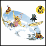 Diva Dawg Surf T-Shirts Diva Dawg Surf T-Shirts