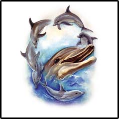 Dolphin Dance Tropical T-Shirts