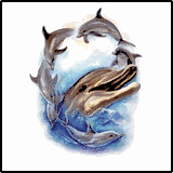 Dolphin Dance Tropical T-Shirts