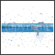 Dolphin Stripe T-Shirts