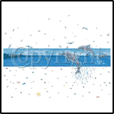 Dolphin Stripe T-Shirts