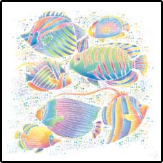 Fish Tropical Hawaiian T-Shirts 