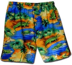Gator Zone Boxer Shorts (S)