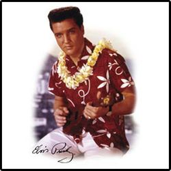 Hawaii 1 Licensed Elvis Presley T-Shirt